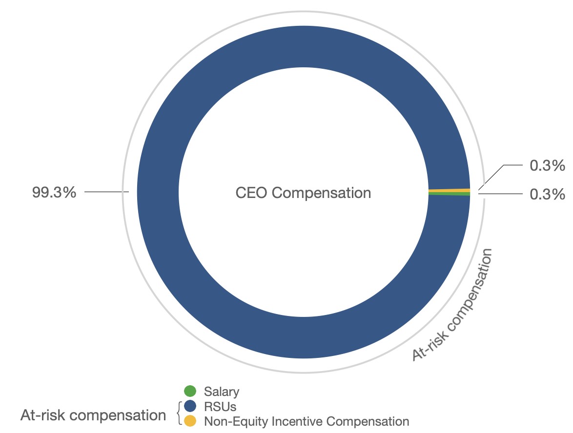 CEO Compensation Pie Chart.jpg